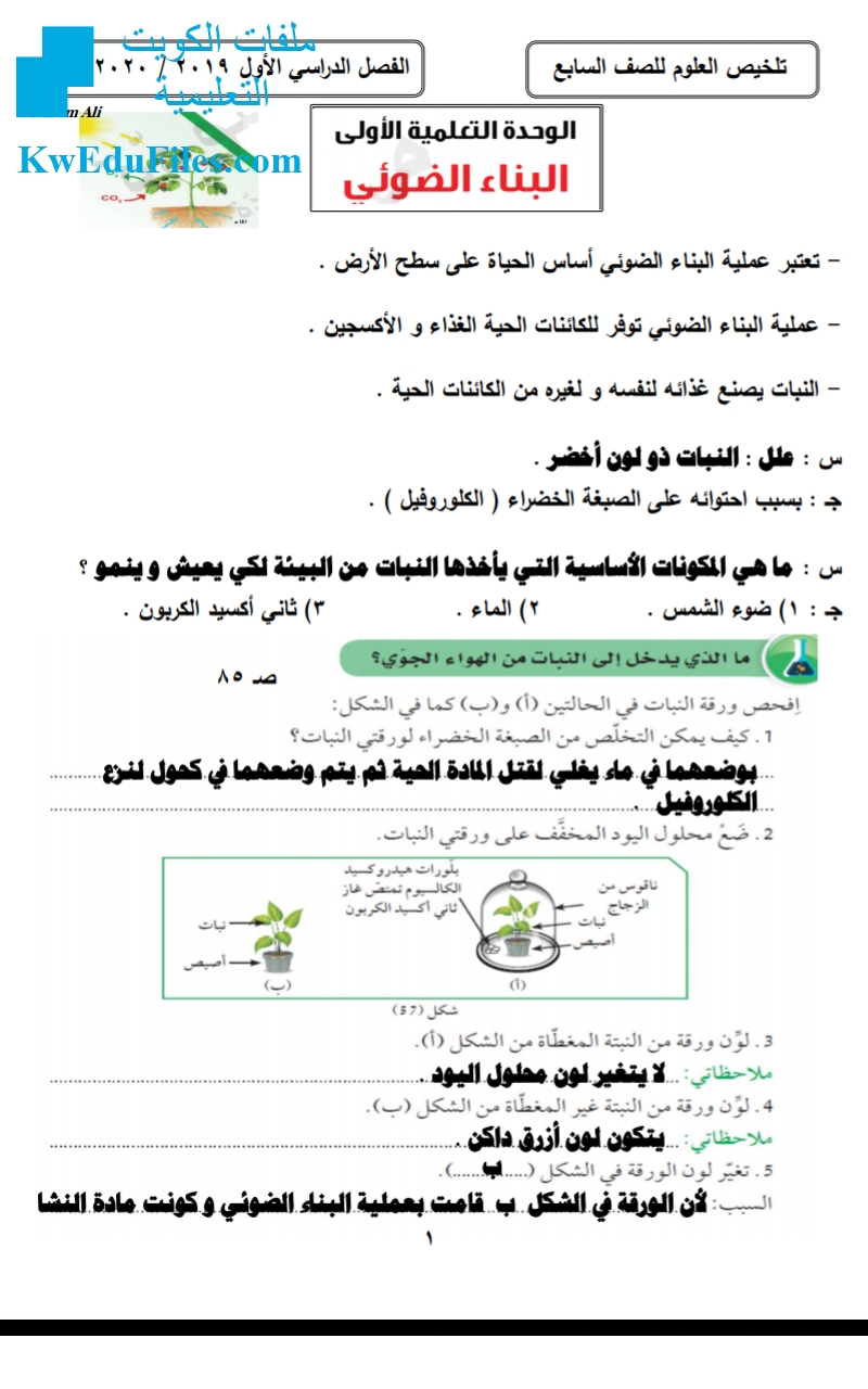تلخيص البناء الضوئي الصف السابع علوم الفصل الأول ملفات الكويت التعليمية