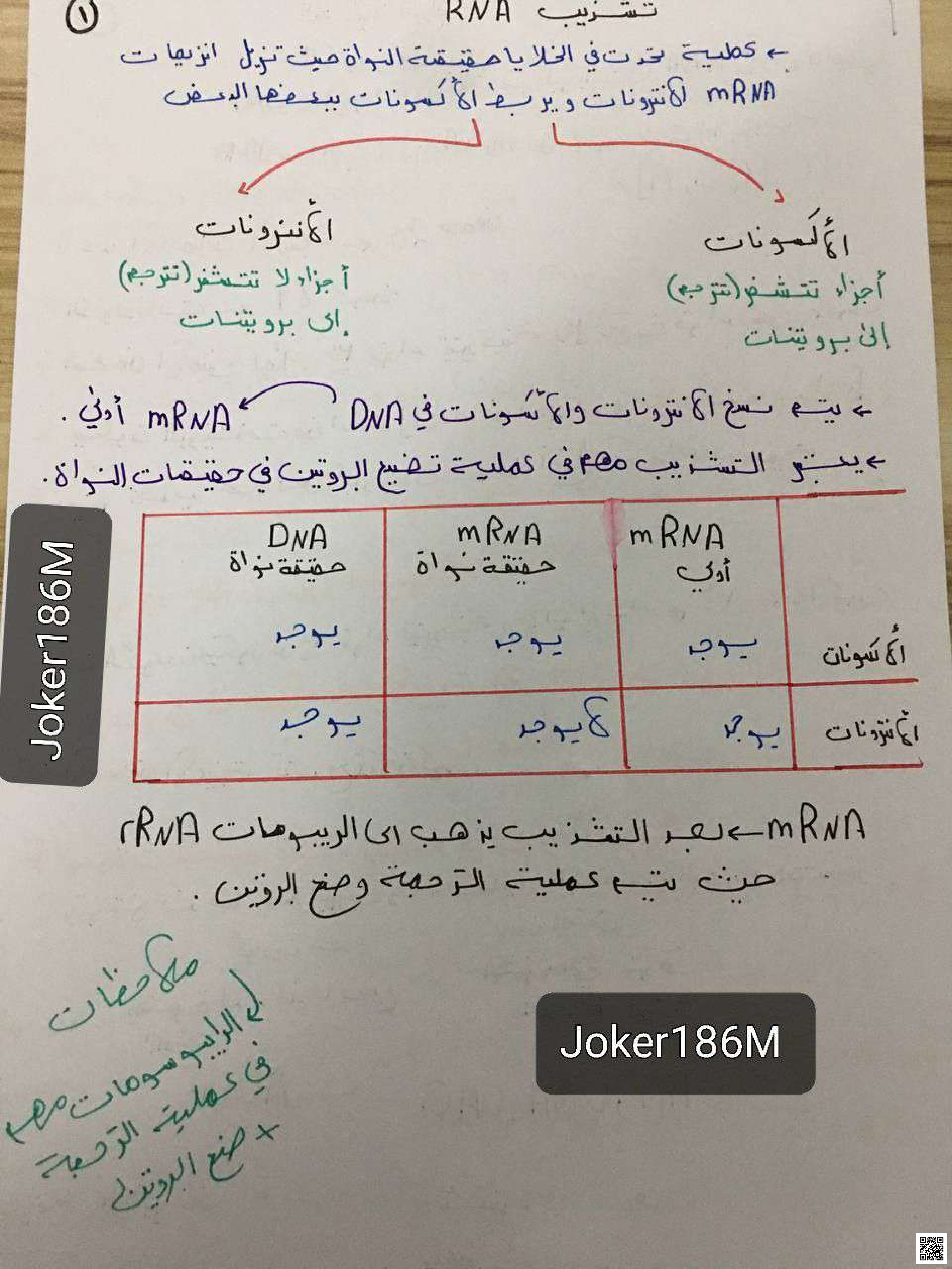 ملخص الترجمة والتشذيب