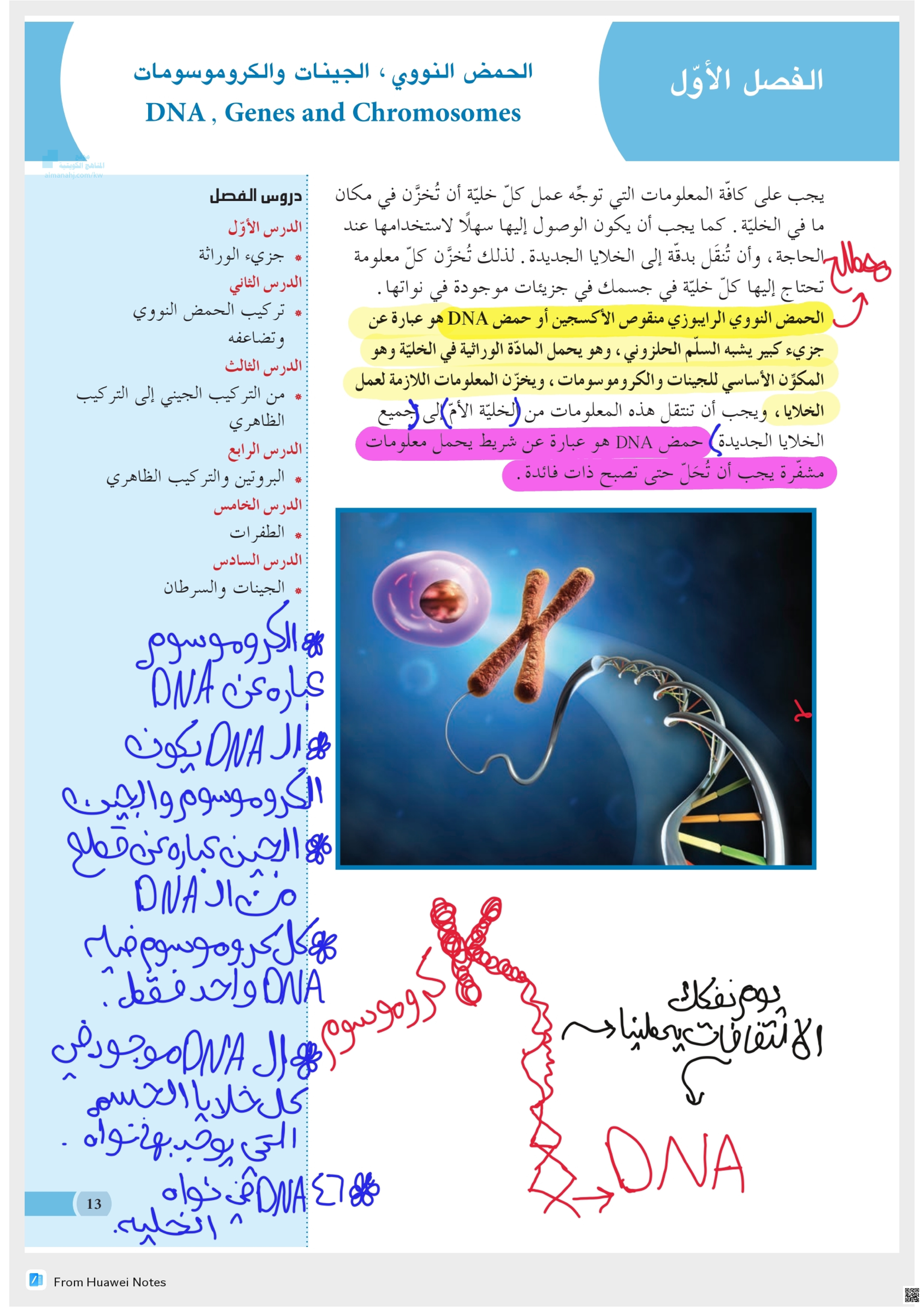 الحمض النووي، الجينات والكروموسومات - أحياء - الصف الثاني عشر الأدبي - الفصل الثاني