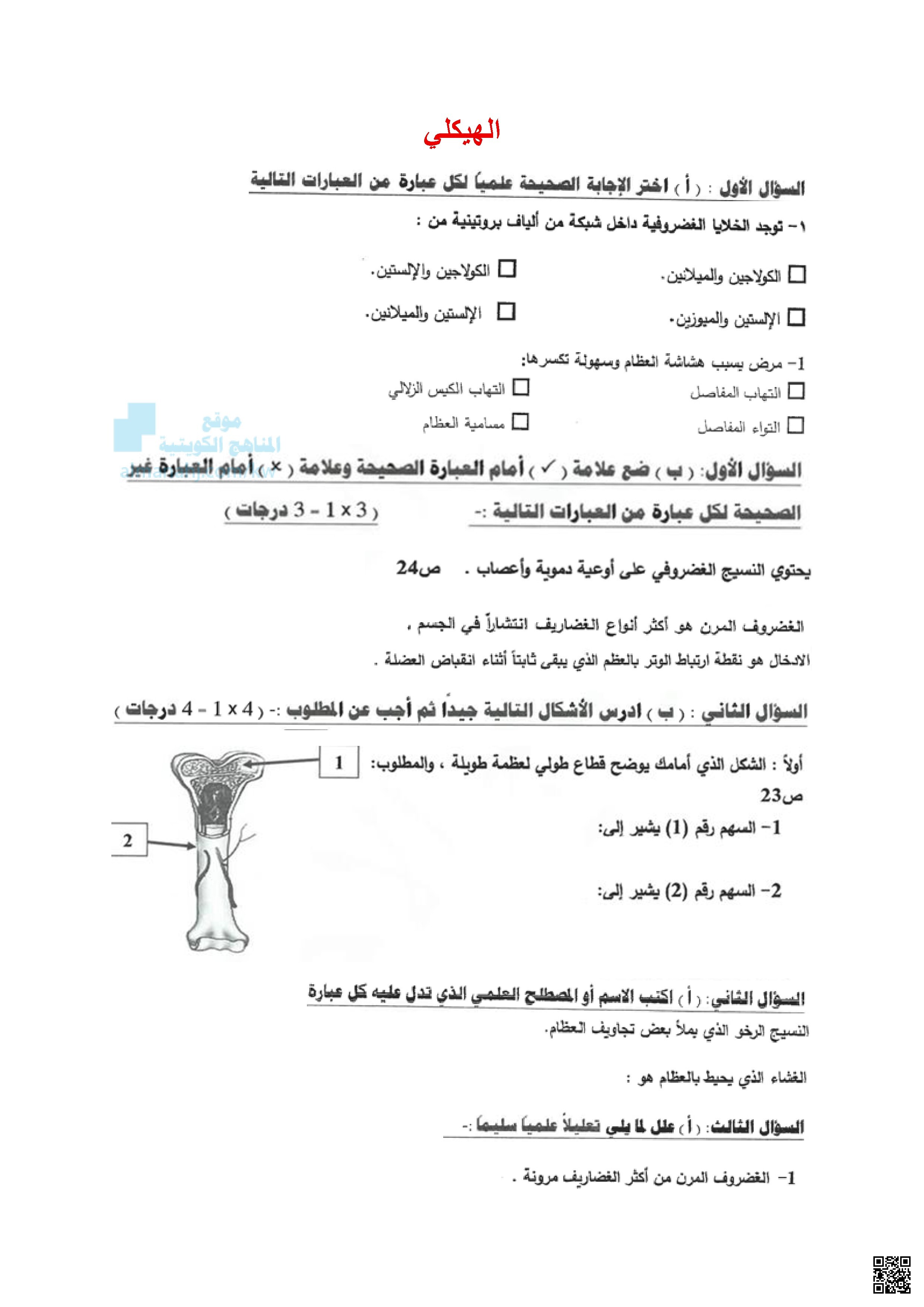 الهيكلي - أحياء - الصف الحادي عشر العلمي - الفصل الثاني