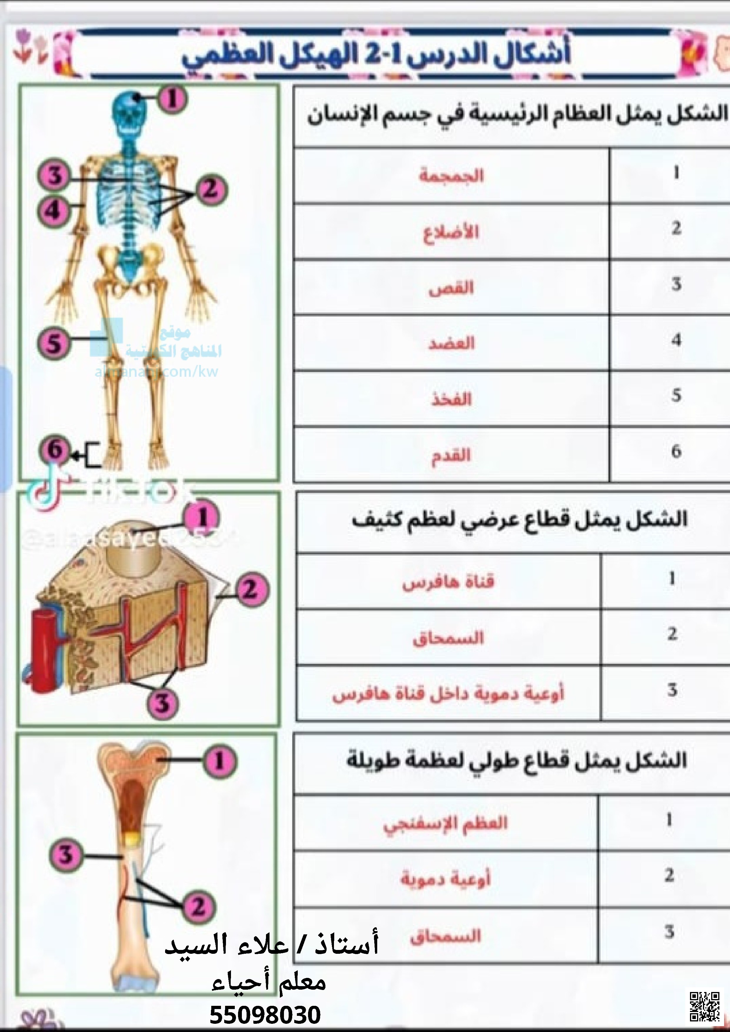 مخططات لمادة الأحياء - أحياء - الصف الحادي عشر العلمي - الفصل الثاني