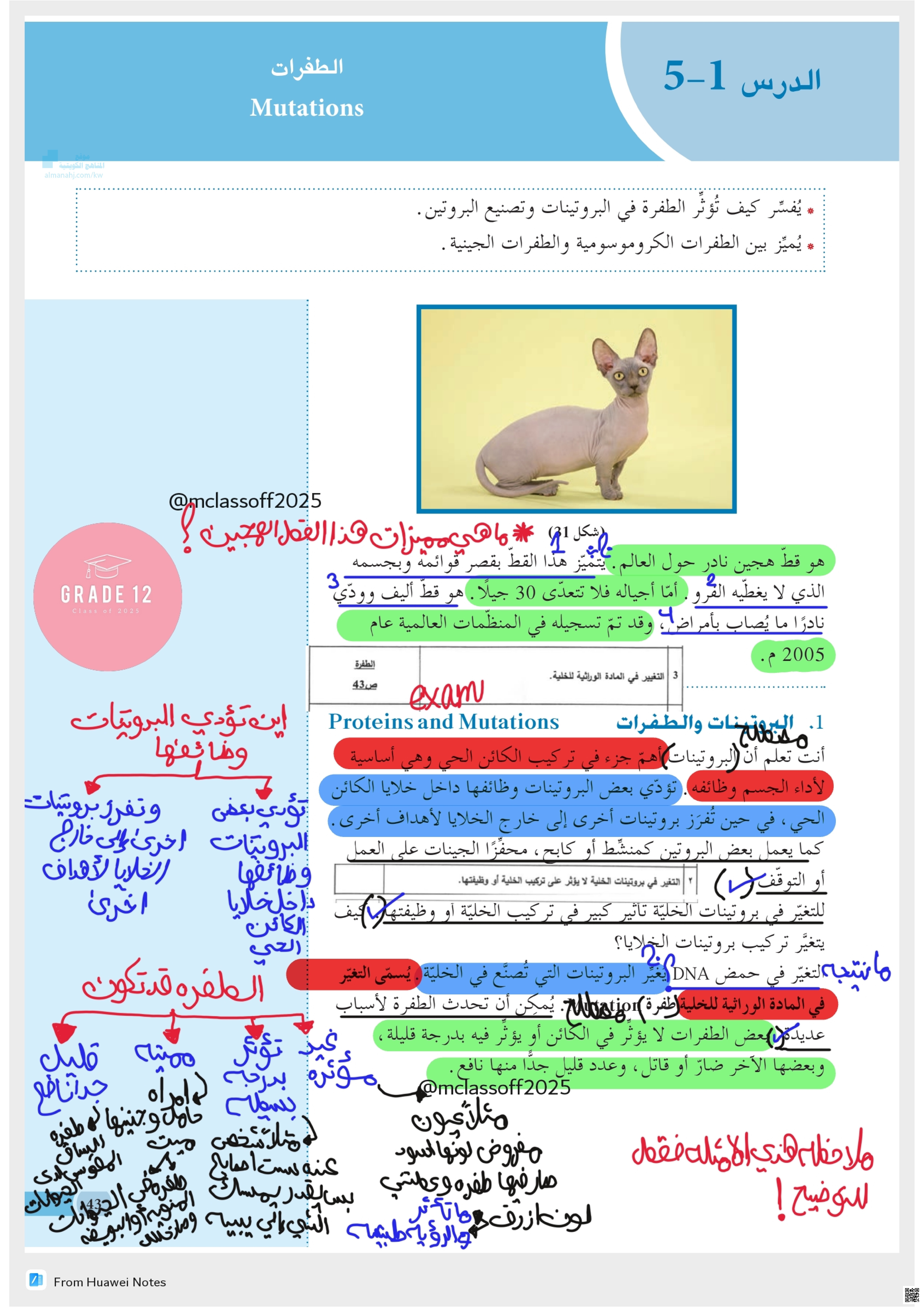 البروتينات والطفرات