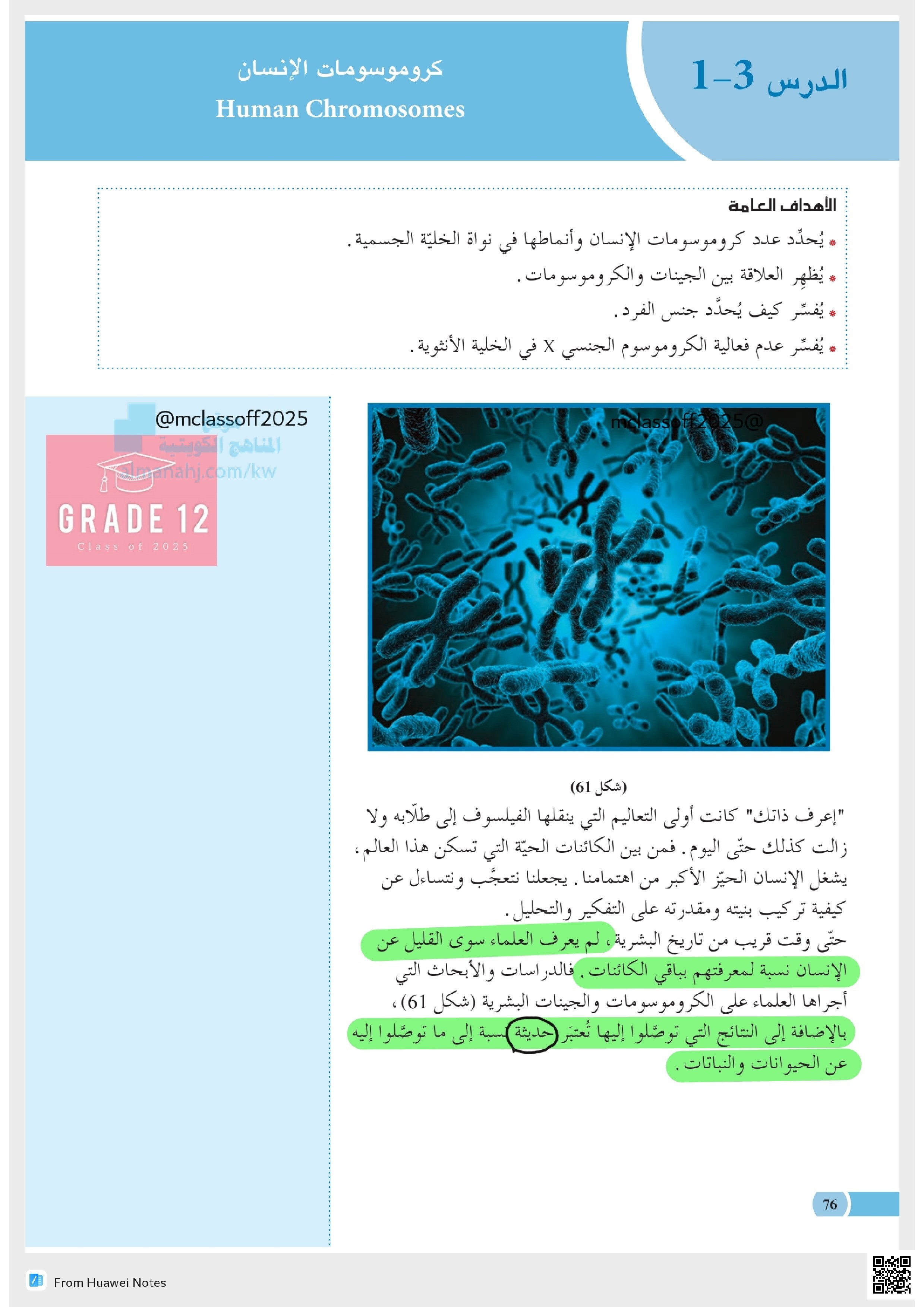 كروموسومات الإنسان